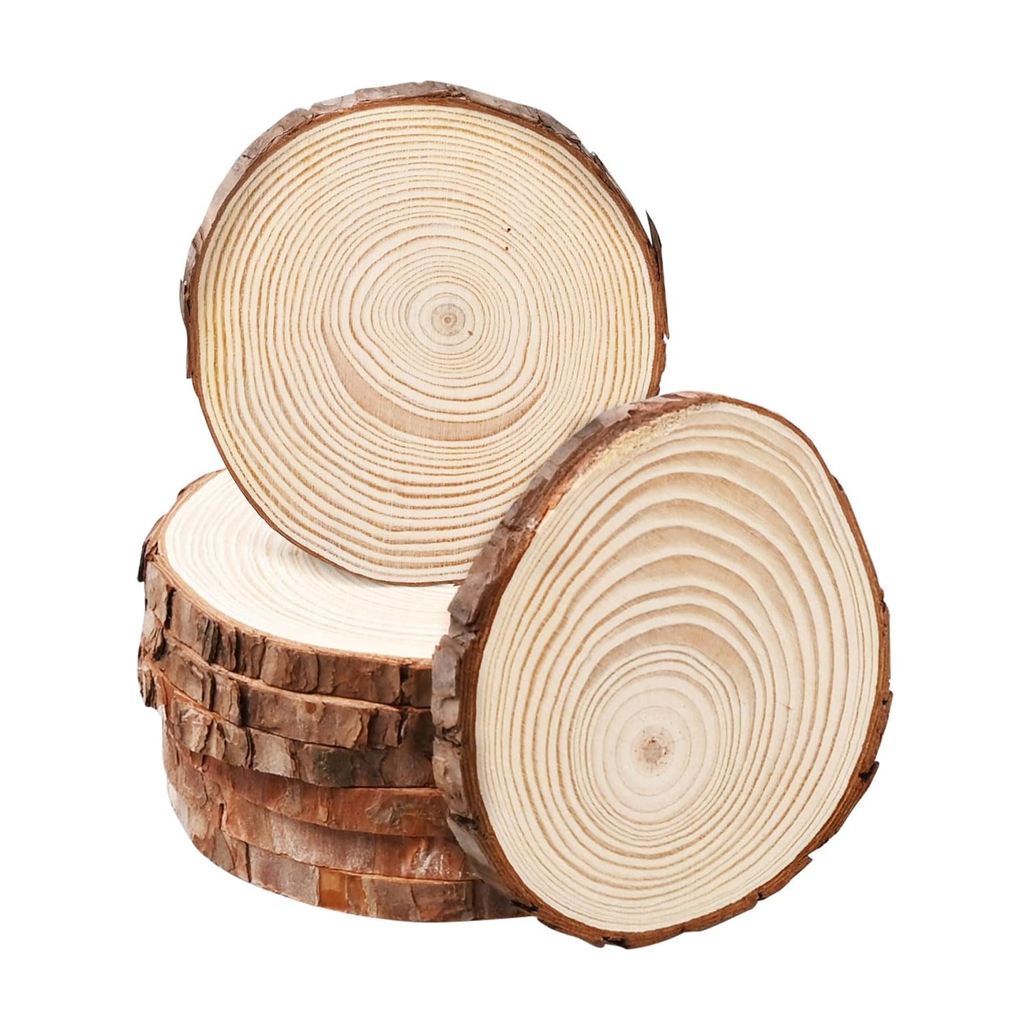 Tranche de bois (4)